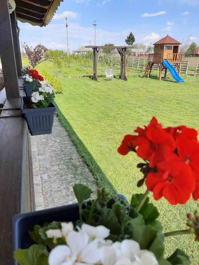 Hotel Dor De Casa Doljesti Esterno foto