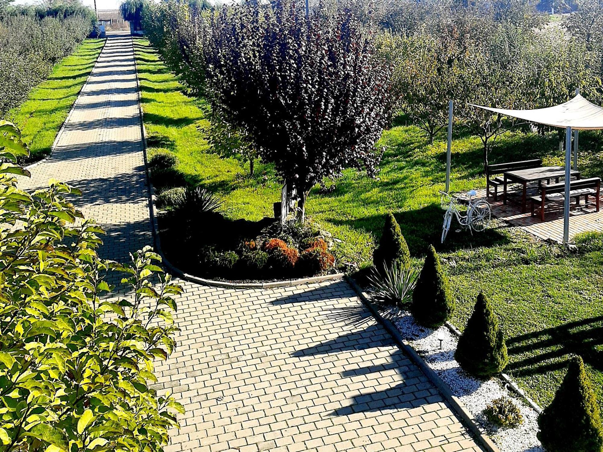 Hotel Dor De Casa Doljesti Esterno foto