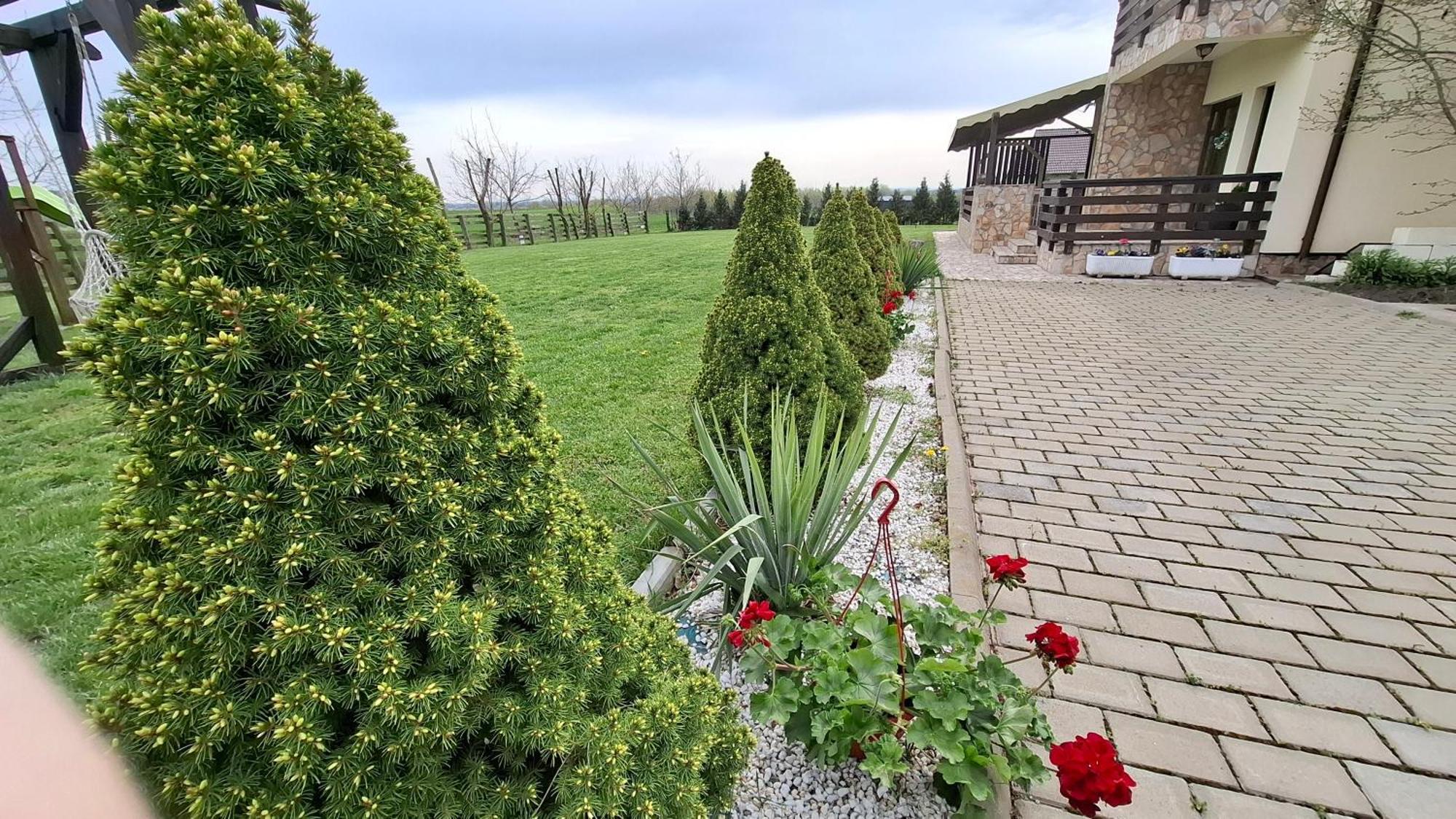 Hotel Dor De Casa Doljesti Esterno foto